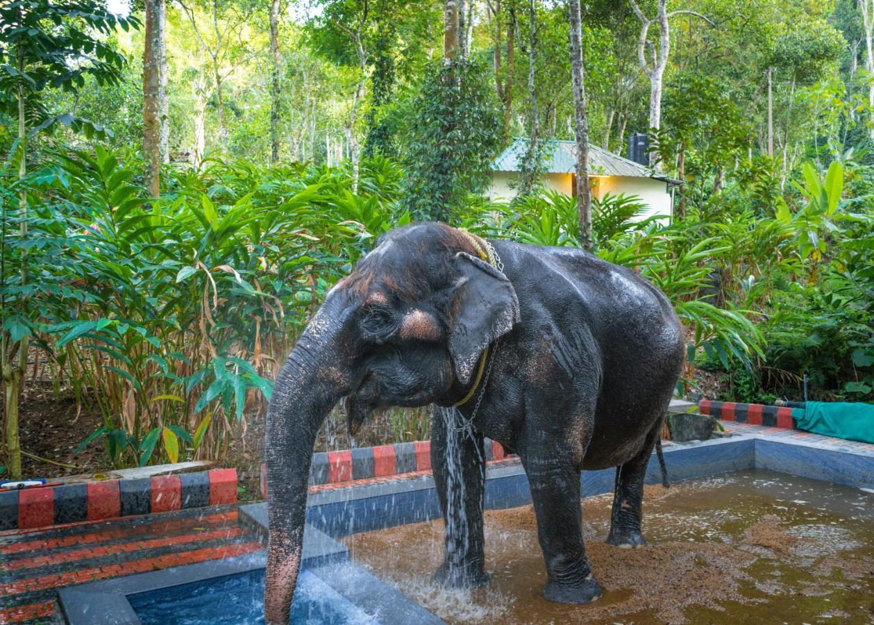 Amritara Shalimar Spice Garden Resort & Spa Thekkady Exterior foto